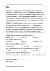 Biber.pdf